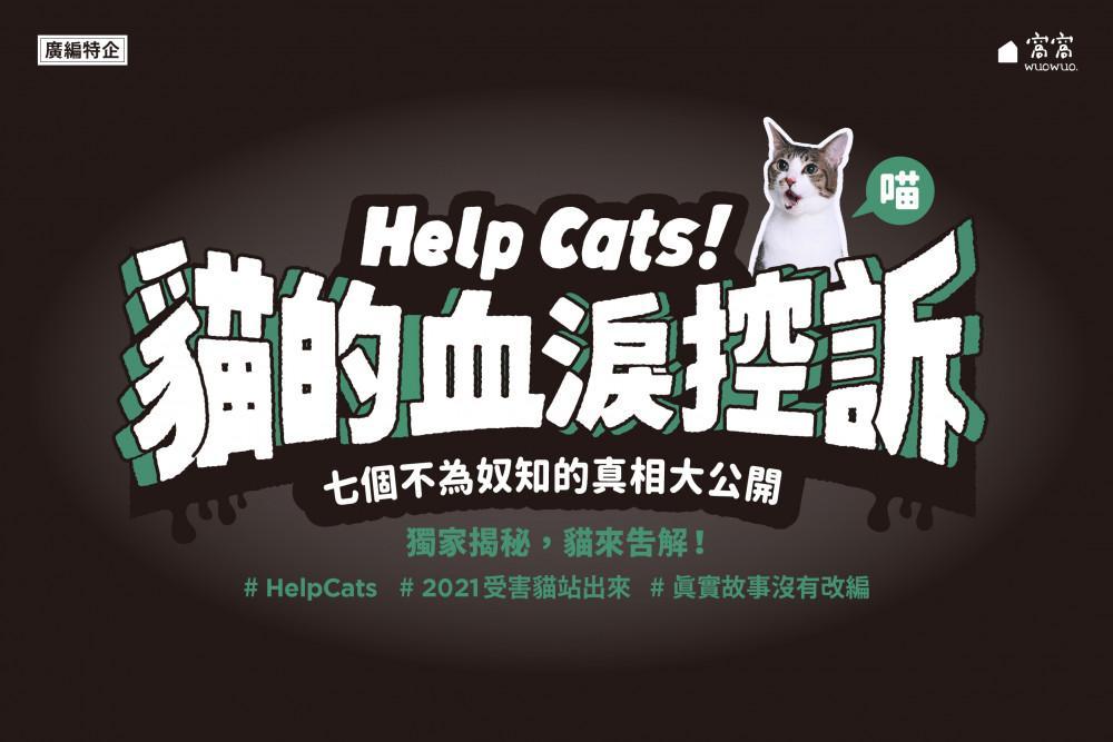 Help Cats！貓的血淚控訴u2014u2014七個不為奴知的真相大公開- 窩窩｜專注為 