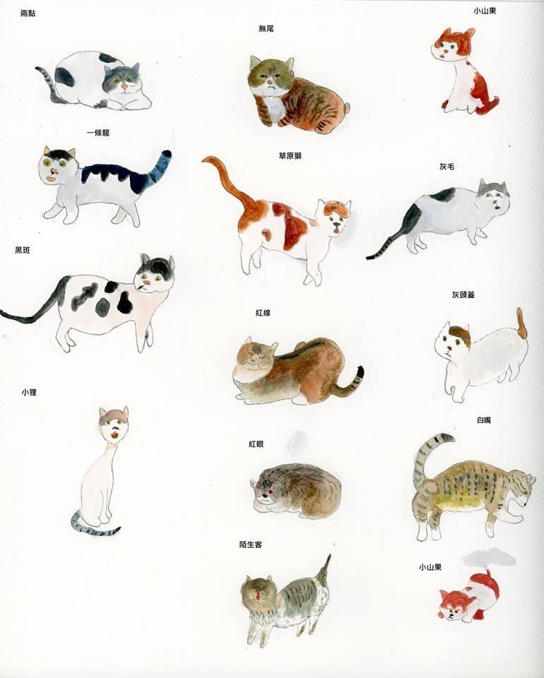 cat book01