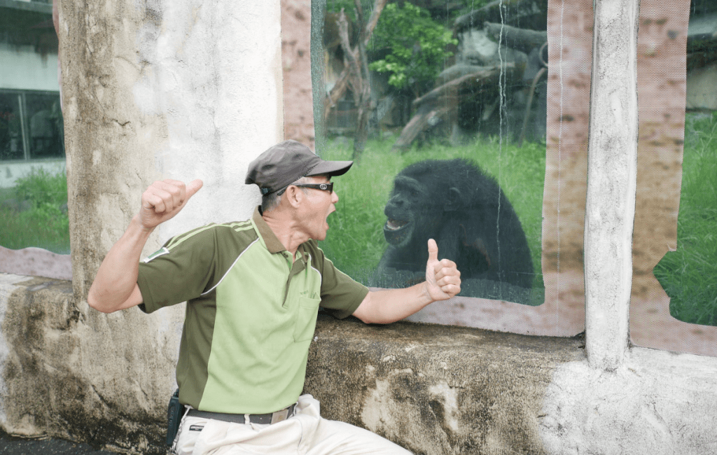 zookeeper with chimpanzee 1024x650