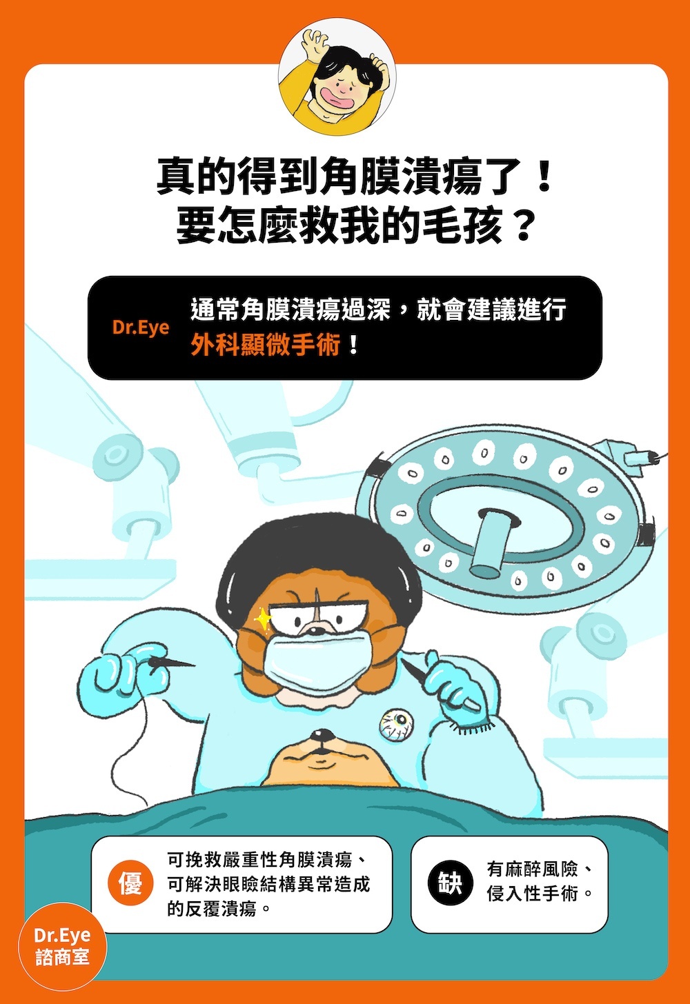 飼主都不該輕忽的 犬貓角膜潰瘍 懶人包 窩窩 專注為動物發聲的獨立媒體