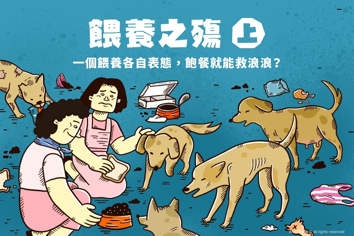 餵養之殤（上）——一個餵養各自表態，飽餐就能救浪浪？ - 窩窩｜專注為動物發聲的獨立媒體