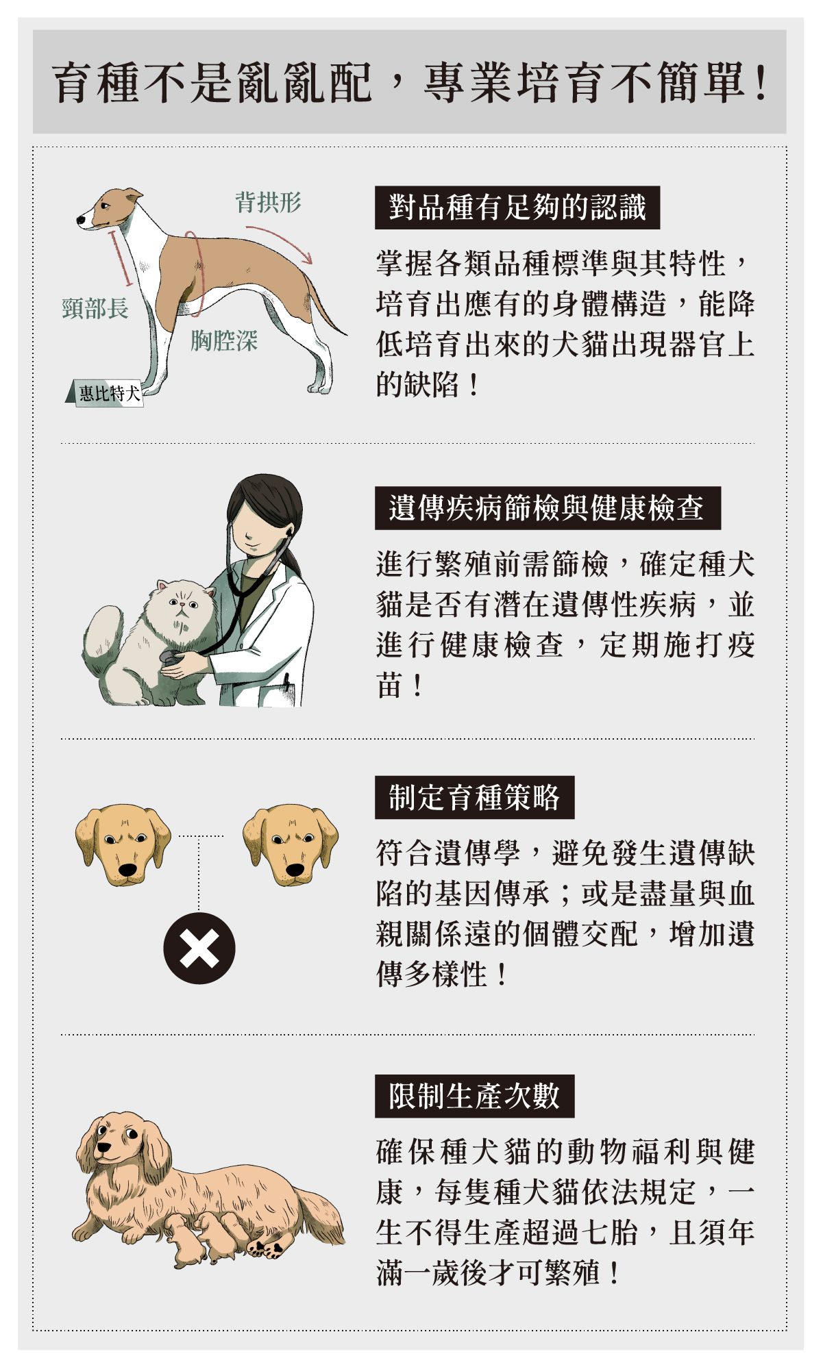 被遺忘的真相01 品種犬貓被 製造 的古今歷程 窩窩 專注為動物發聲的獨立媒體