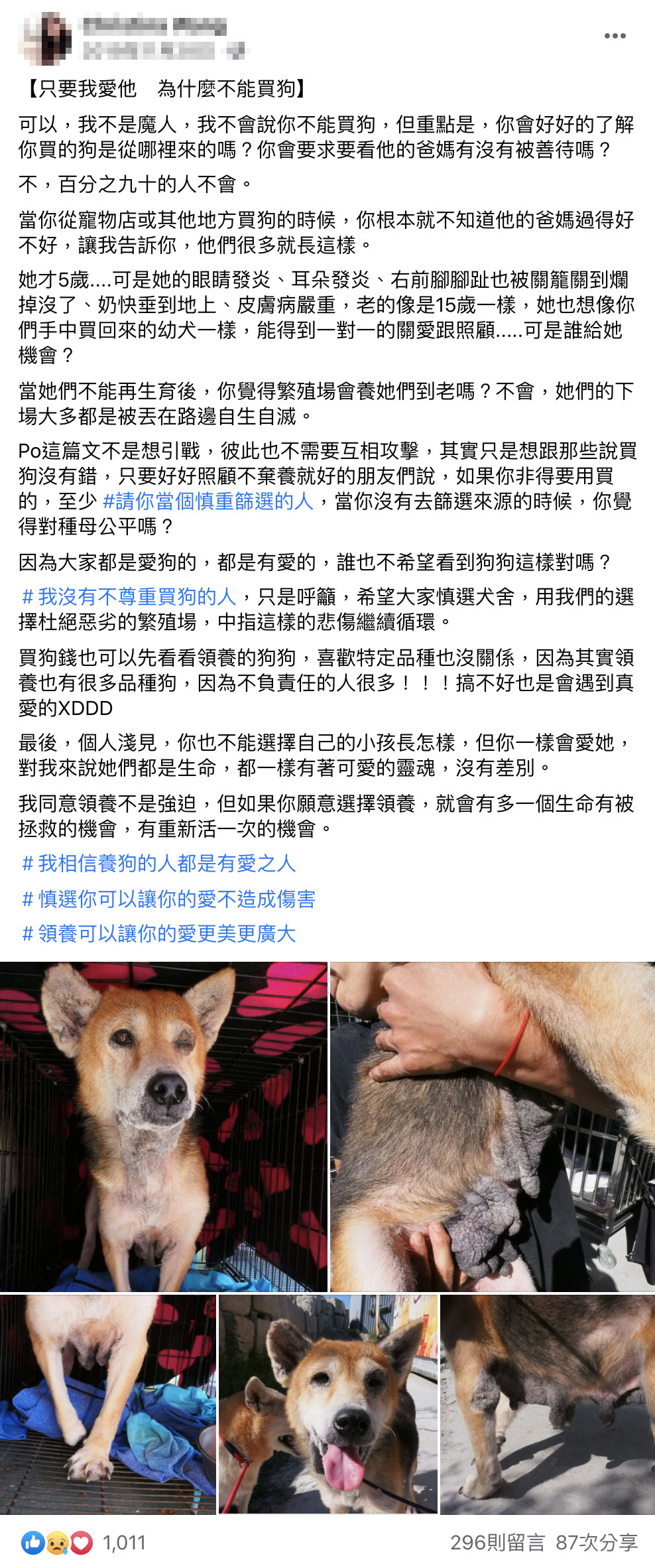 被遺忘的真相03 用錢卻買到了不健康的犬貓 窩窩 專注為動物發聲的獨立媒體