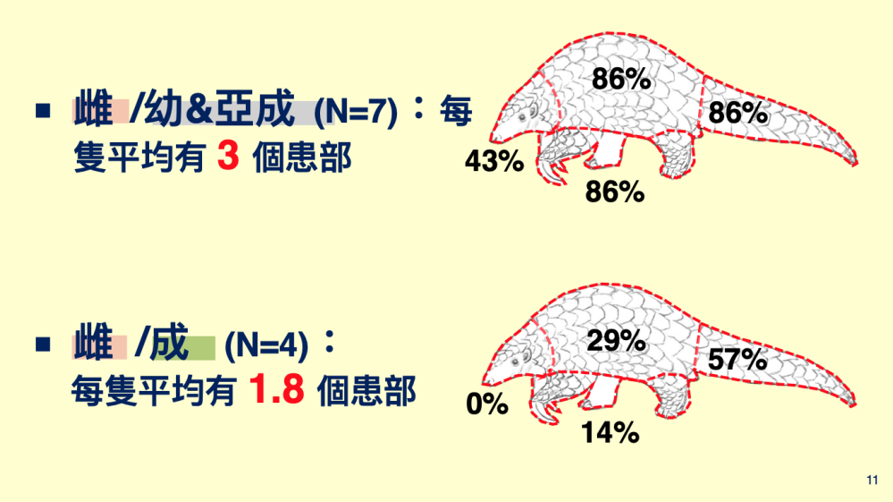 20240807news 08