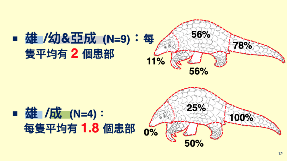 20240807news 09