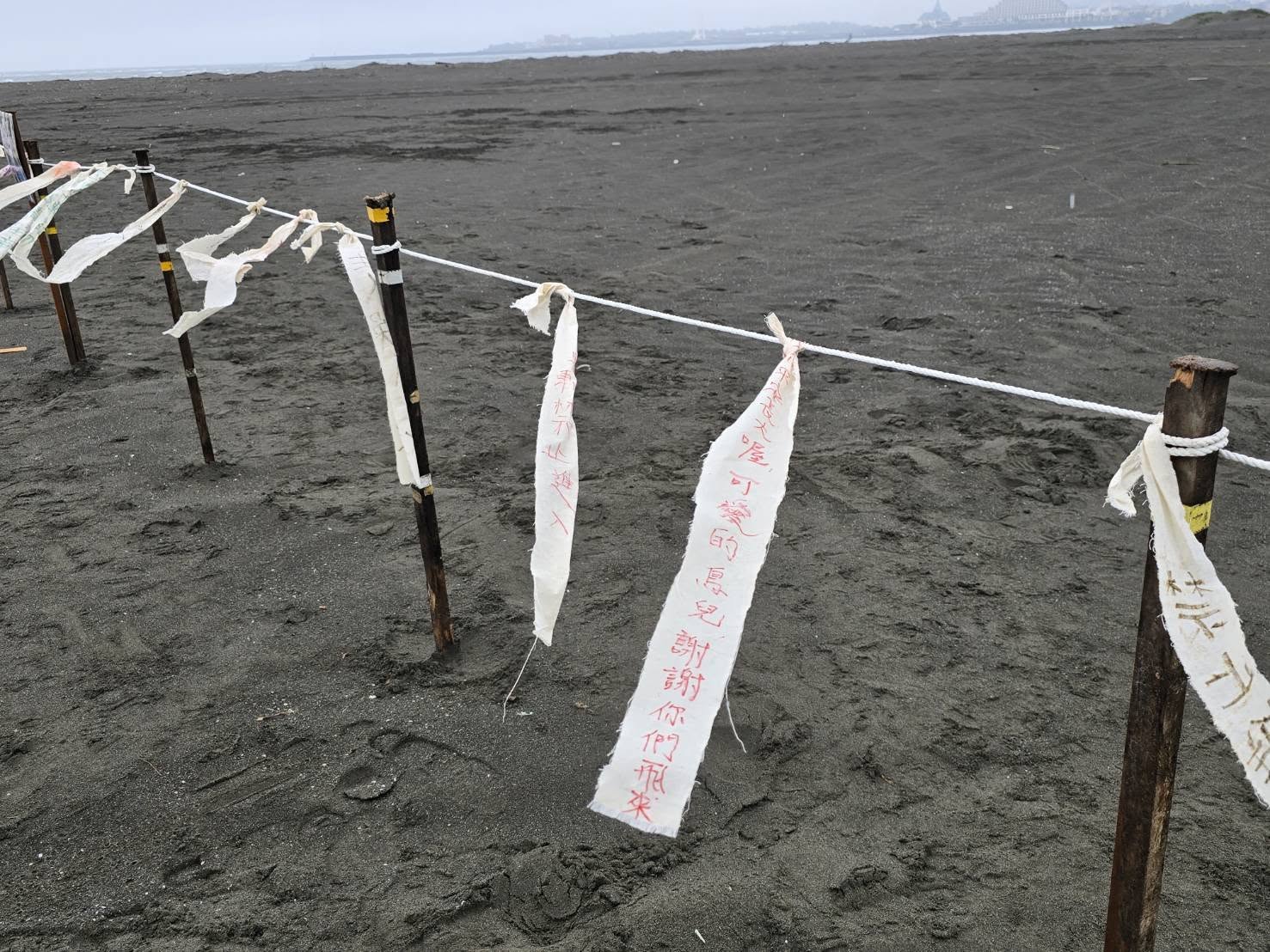 20260421 breedingbird 00