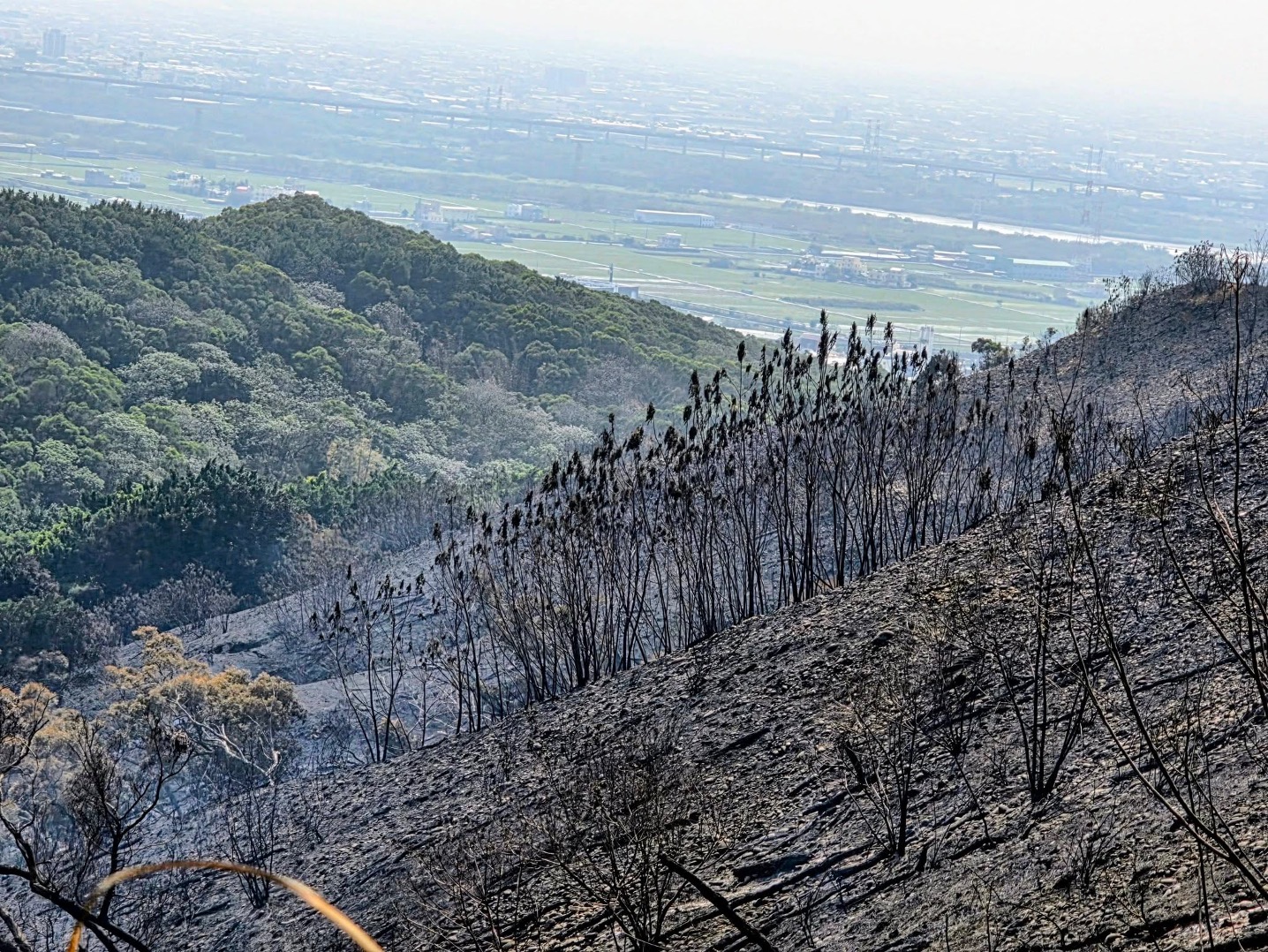 20260323fire 03