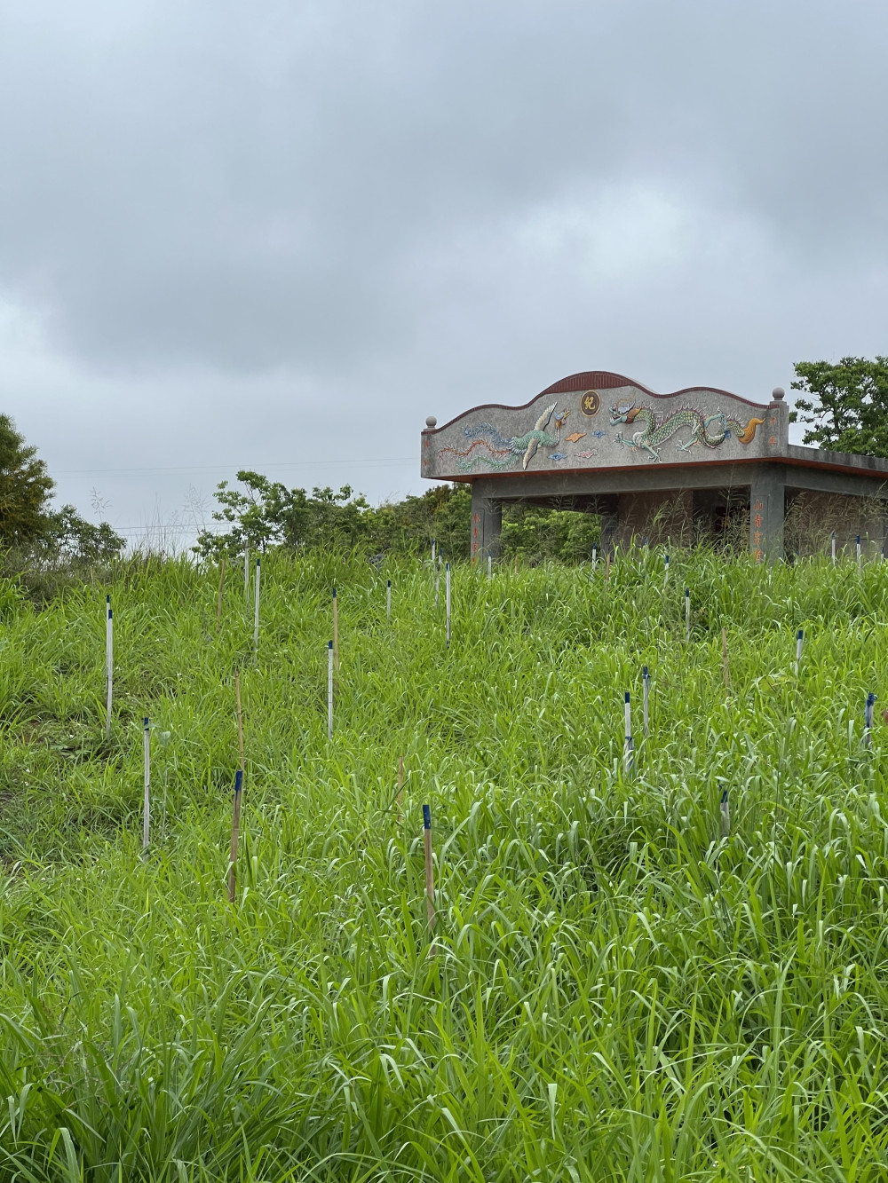 0507 fire 01