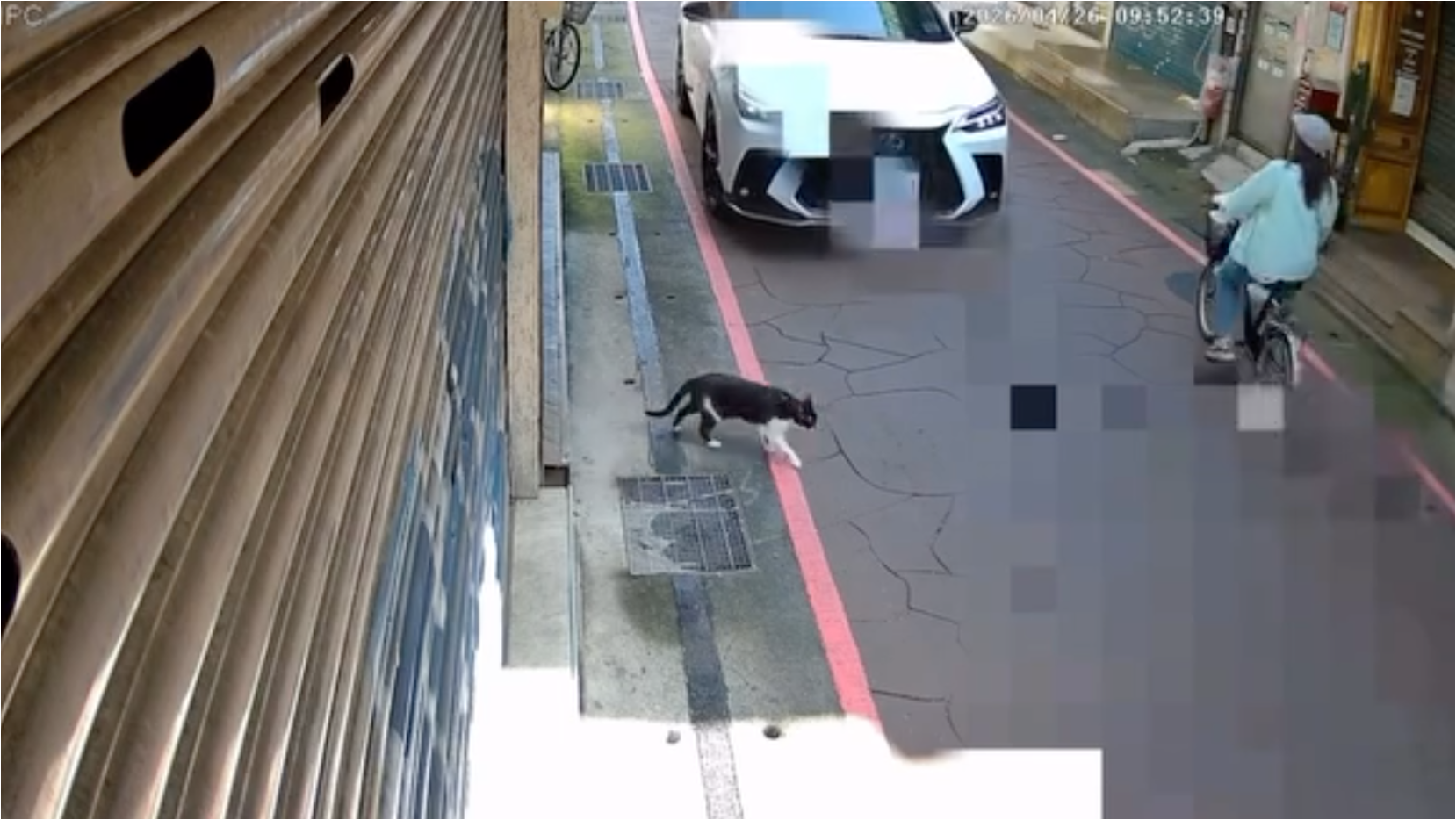 20260505 dodocat 01