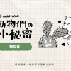 動物冷知識｜駱駝小秘密