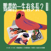 寵物鳥秘密｜壽命可達80年，飼養鸚鵡可是終身大事