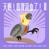寵物鳥秘密｜鳥飼主必學，三招急救止血法