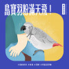 寵物鳥秘密｜鳥寶羽粉危機！居家空氣清淨指南