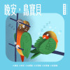 寵物鳥秘密｜你的鳥寶睡得好嗎？從睡姿看健康與安全感