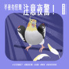 寵物鳥秘密｜做好夜驚防範，讓鳥寶安心睡好覺