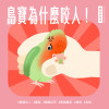 寵物鳥秘密｜弄懂鳥寶咬人邏輯，人鳥關係更親密