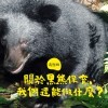 關於黑熊保育，我們還能做什麼？