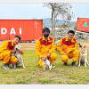 花蓮搜救犬通過國際測驗，將迎向更大救災使命