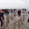 潮間帶生物降8成，小琉球保育區將收海洋保育費