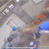 埔心牧場虐兔又打鹿全被錄 網友呼籲應重罰