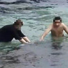 小琉球再度發生海龜遭騷擾 縣府無奈:已多方宣導 小琉球再度發生海龜遭騷擾 縣府無奈:已多方宣導