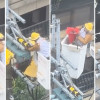 以搬家代替拆家 台電人員細心移巢讓小鳥安心育幼