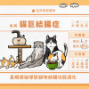 貓巨結腸症——長期便秘導致貓咪結腸功能退化