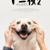 《十二夜2》觀後感——迎合同溫層的美好,現實卻總是殘酷 《十二夜2》觀後感——迎合同溫層的美好,現實卻總是殘酷