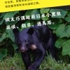 窩時事｜網友巧遇超萌日本小黑熊，揉眼、挖草、過馬路。
