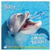 遠雄海洋公園新生海豚命名活動 一出生就失去海洋的理由