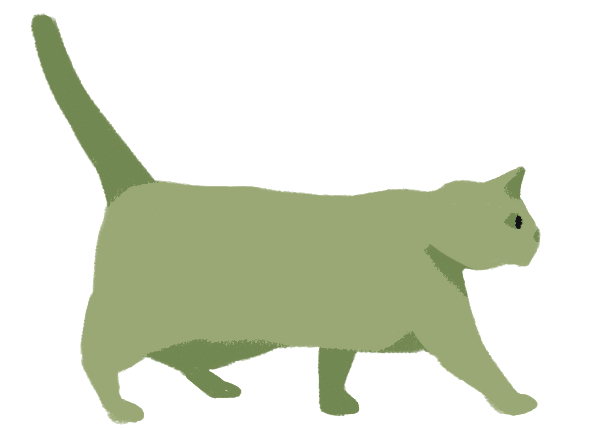 貓走路動畫 1