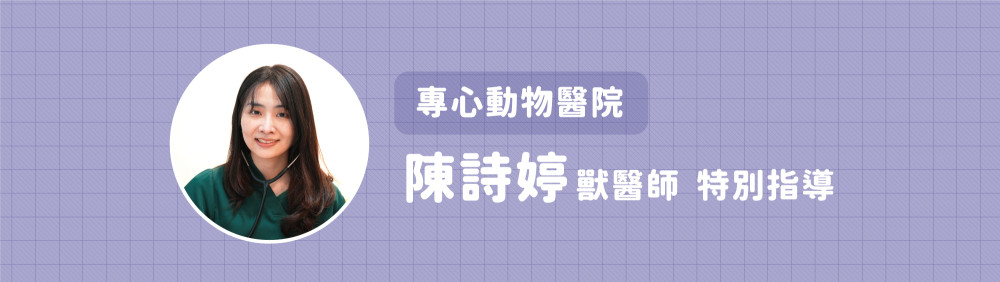 cat heart disease 01