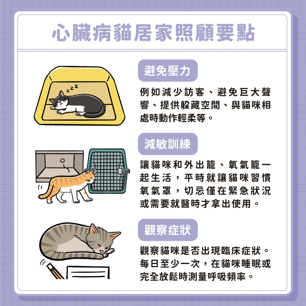 cat heart disease 08