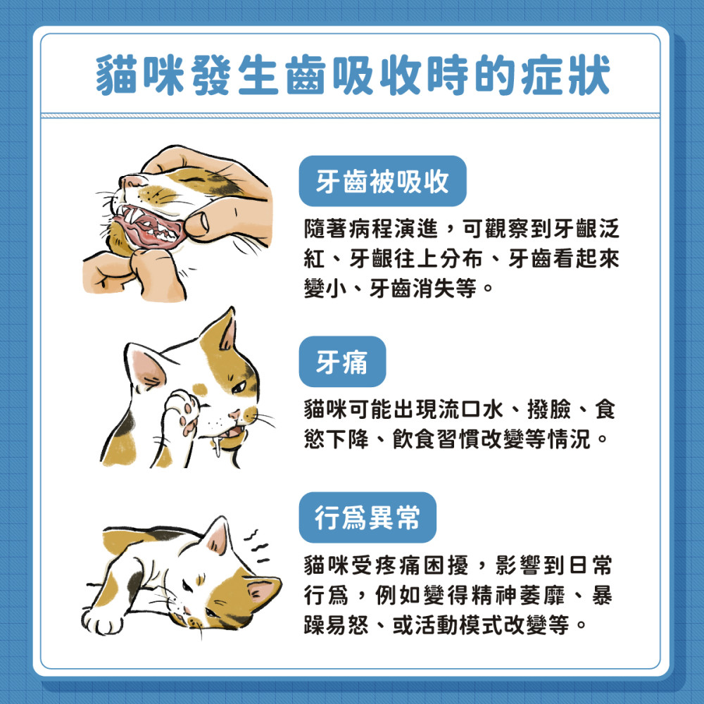 Tooth Resorption 05