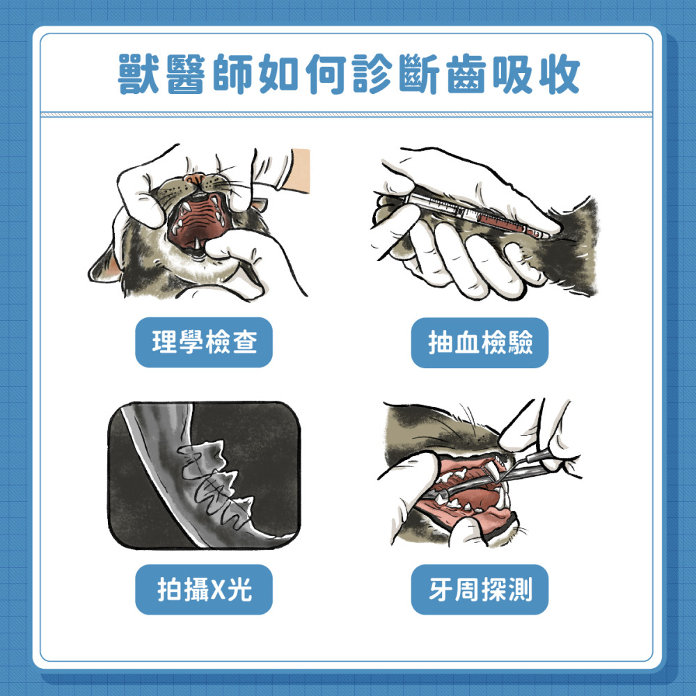 Tooth Resorption 06