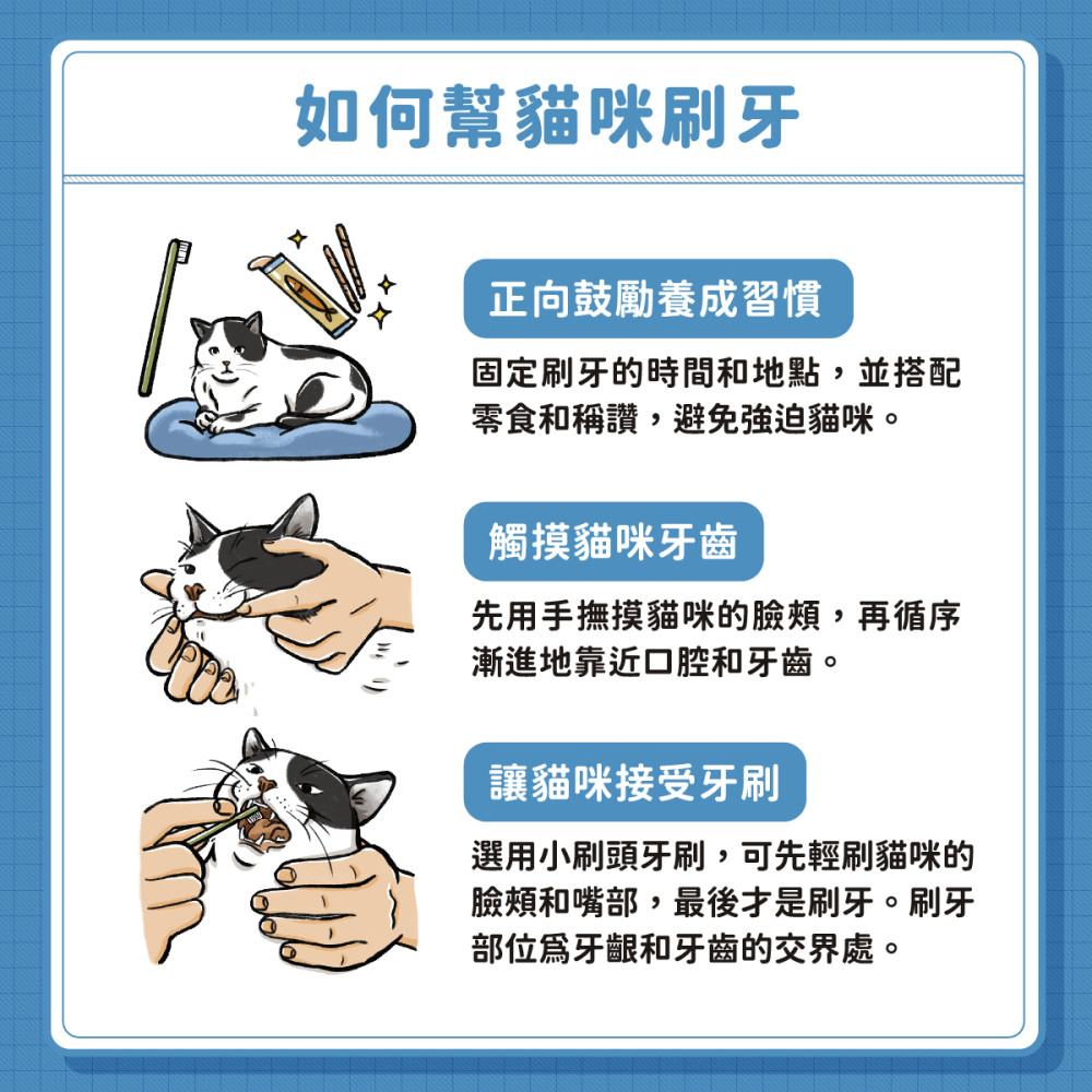 Tooth Resorption 07