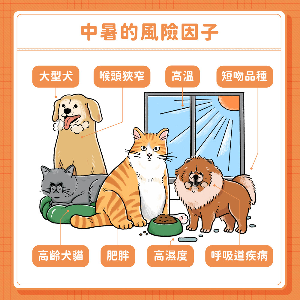  犬貓中暑 01