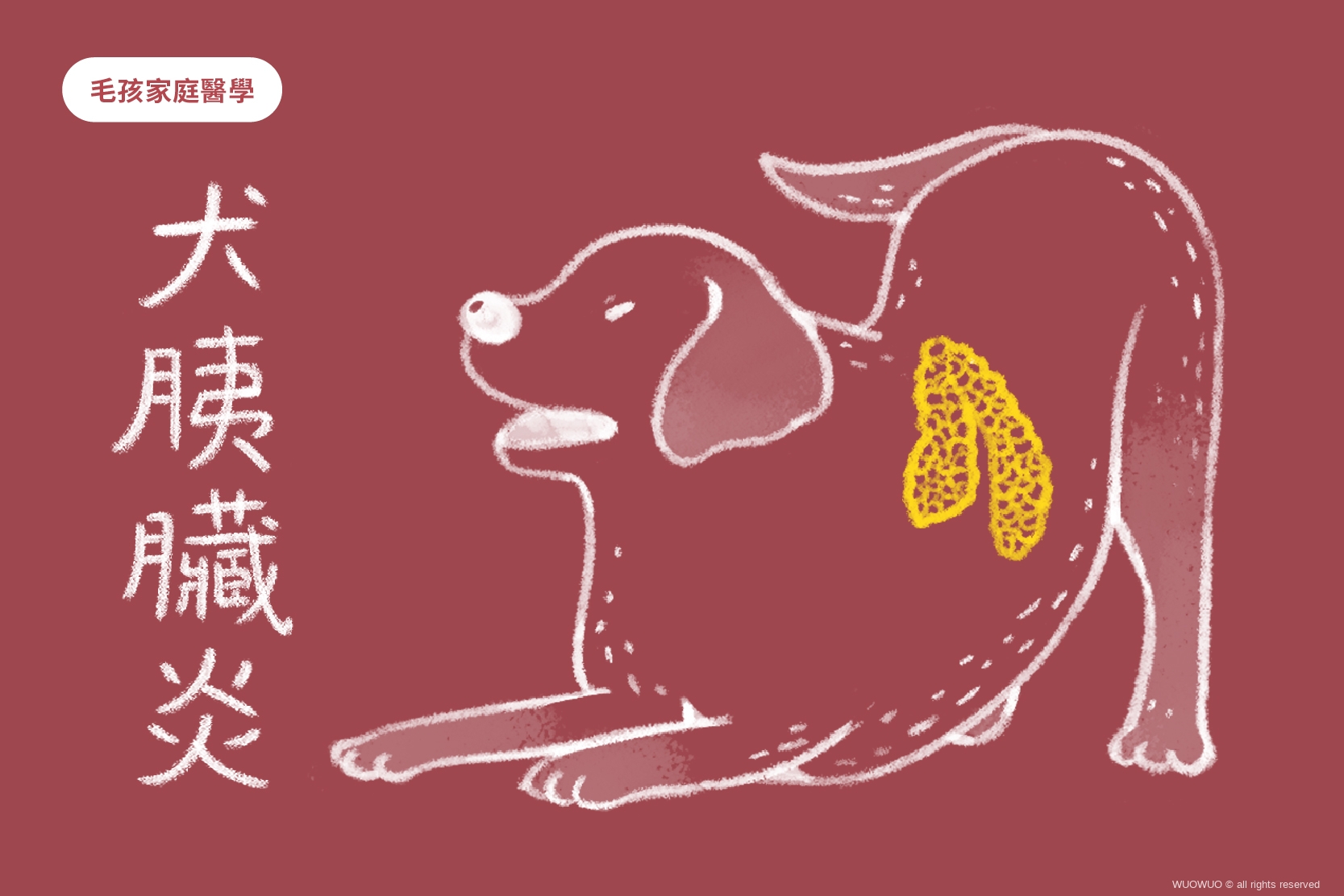 奪取食慾的惡疾 犬胰臟炎 一旦發生就難以根治 窩窩 為牠發聲