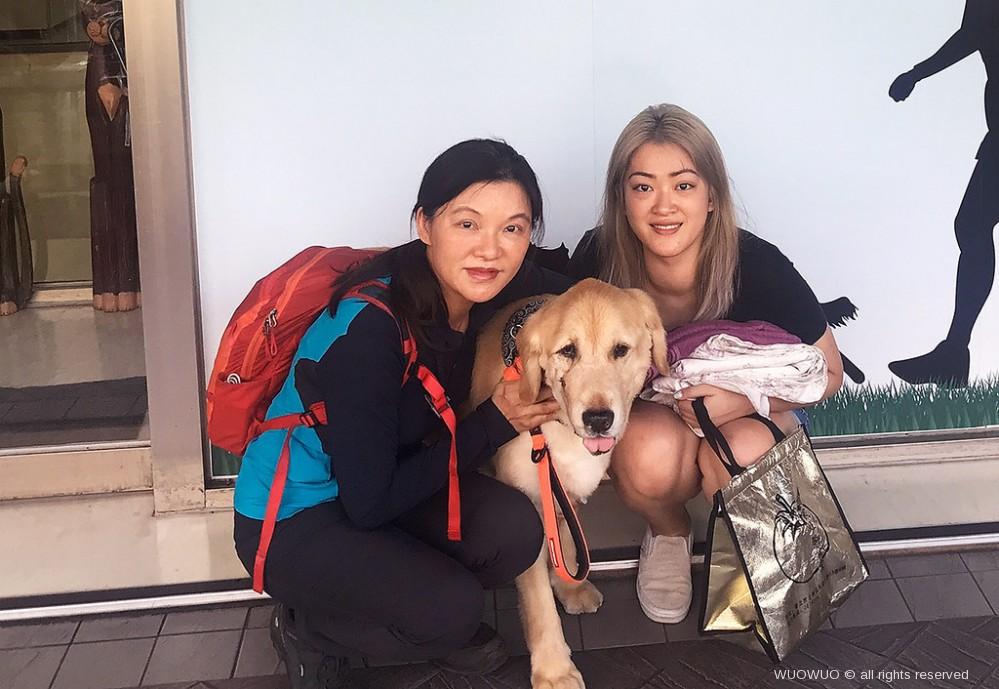 在堅持與放手之間 尋找最溫柔的方式 獸醫師的安樂死抉擇 窩窩 專注為動物發聲的獨立媒體