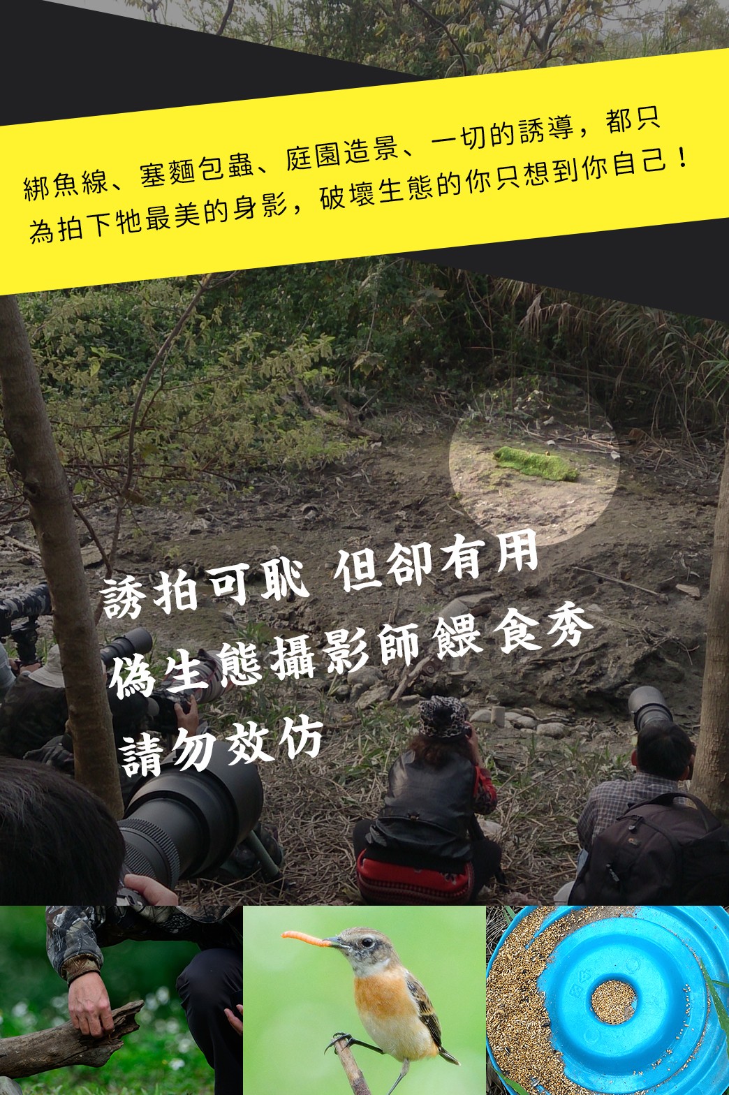 窩時事 誘拍有用卻可恥偽生態攝影切勿模仿 窩窩 專注為動物發聲的獨立媒體