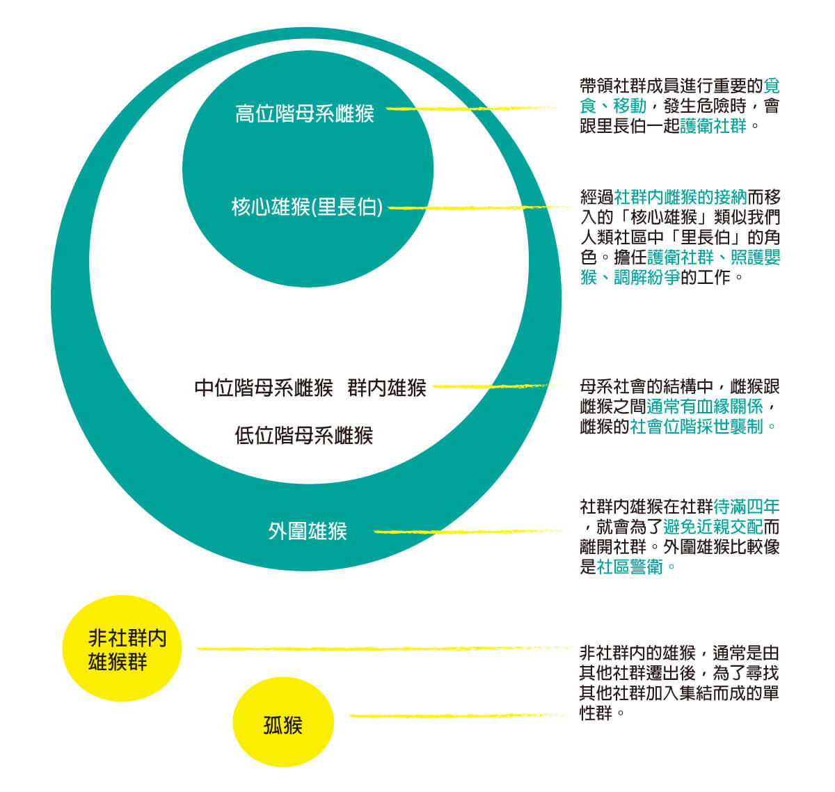 新竹動物園解說牌誤植「猴王」？猴子社會比你想得更多元 - 窩窩｜專注為動物發聲的獨立媒體