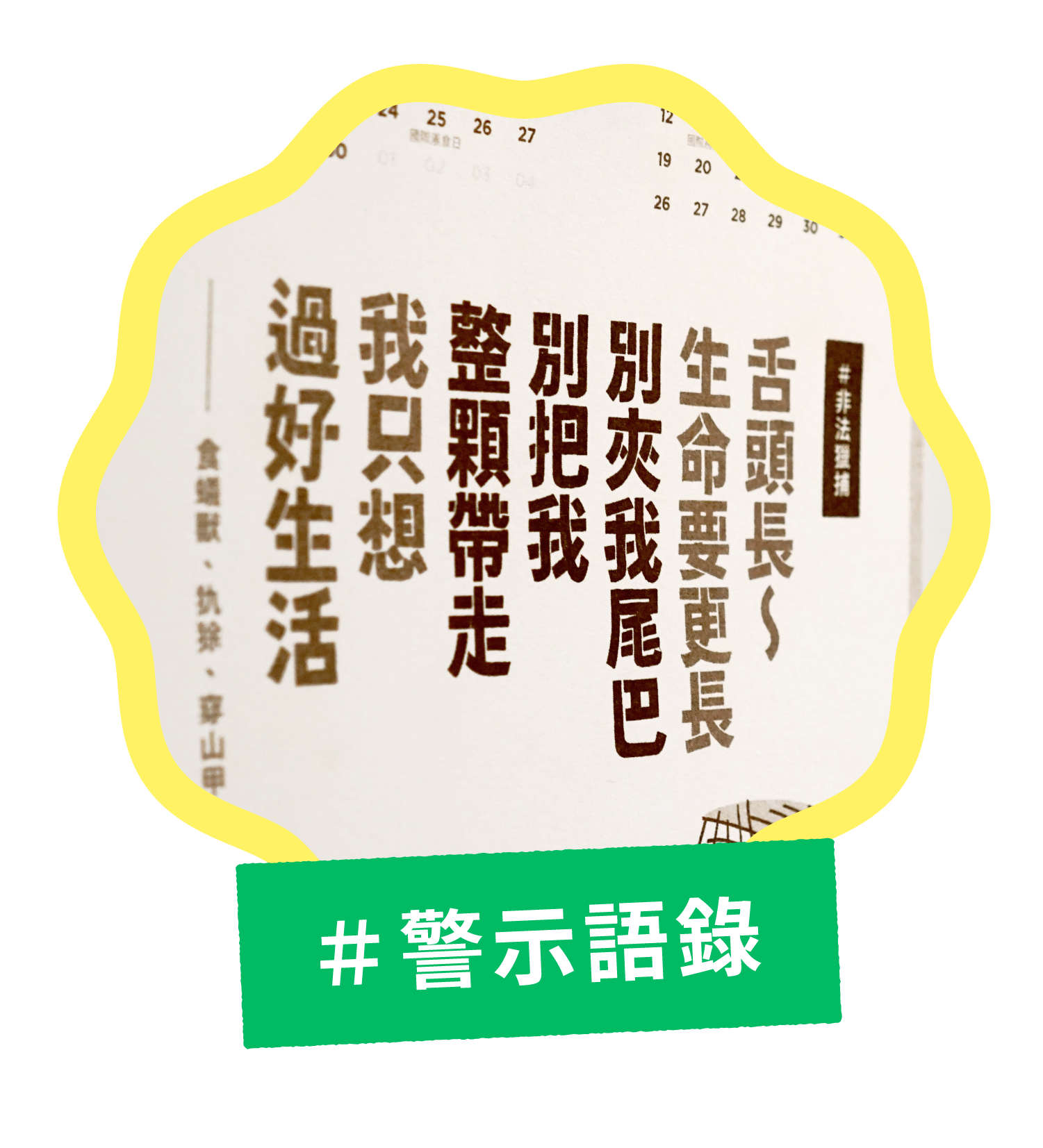 人類 醒醒吧 史上最短天數募資計畫 窩窩 專注為動物發聲的獨立媒體